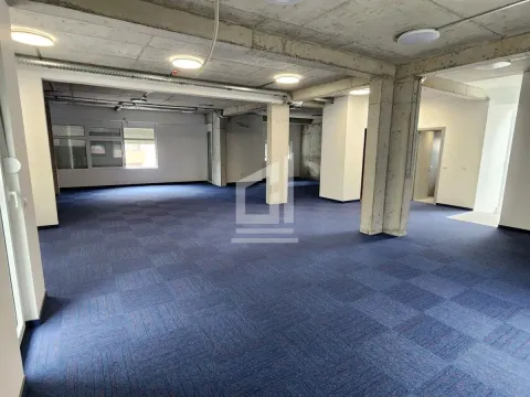 Izdavanje, poslovni prostor, 700m², Zabjelo, Podgorica - image 17