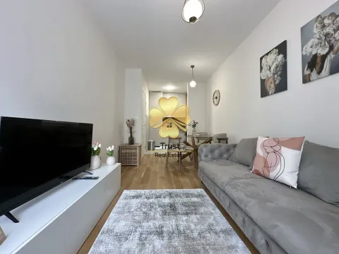 Izdavanje, jednosoban stan, 40m², Central Point, Podgorica - image 6