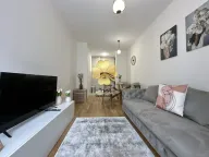 Izdavanje, jednosoban stan, 40m², Central Point, Podgorica - image 6