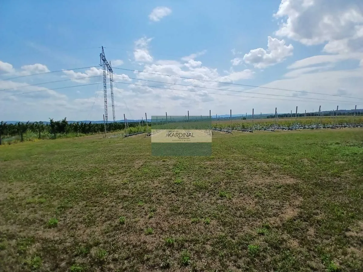 Prodaja, plac, 285100m², Medjureč, Jagodina