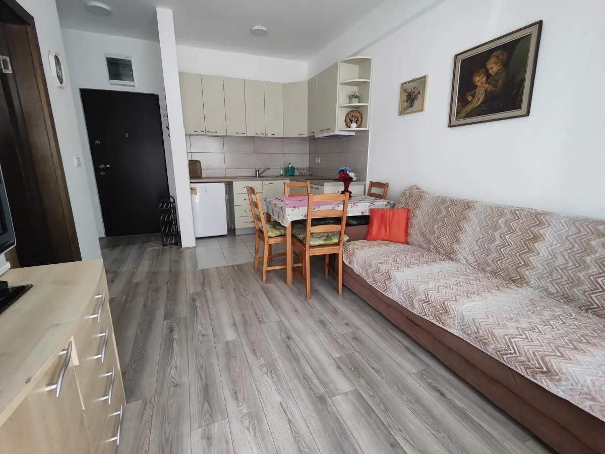 Izdavanje, jednosoban stan, 32m², Aqua park, Jagodina