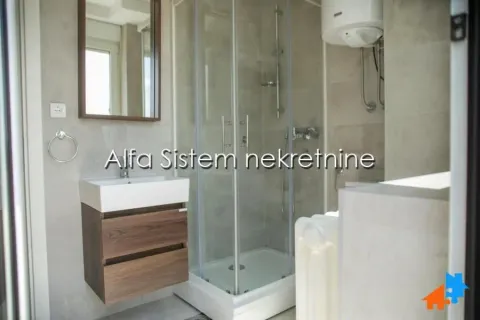 A modernly equipped bathroom with a shower cabin and a washbasin. - image 19