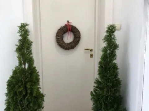 Sale, three bedroom apartment, 69m², Zemun Gornji Grad, Zemun Sve Podlokacije - image 14