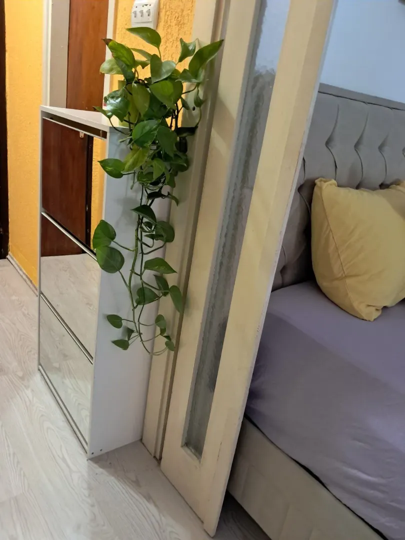 View of part of the bedroom with a bed and a shoe cabinet with potted plants.