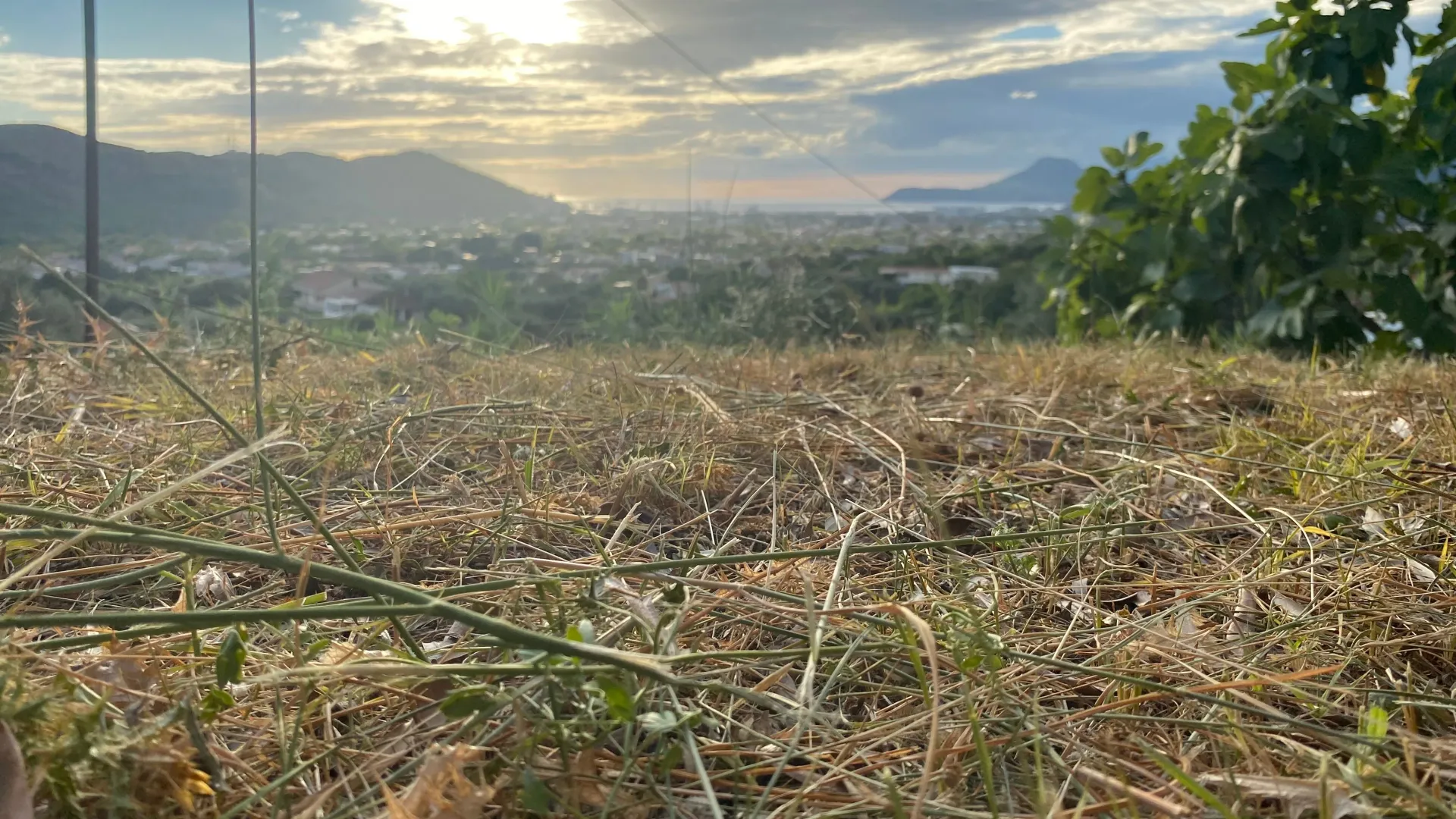 Prodaja, plac, 3770m², Zaljevo, Bar