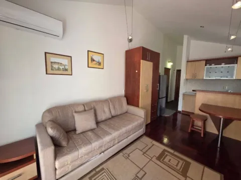 Rent, one bedroom apartment, 40m², Kamenovo, Budva - image 4