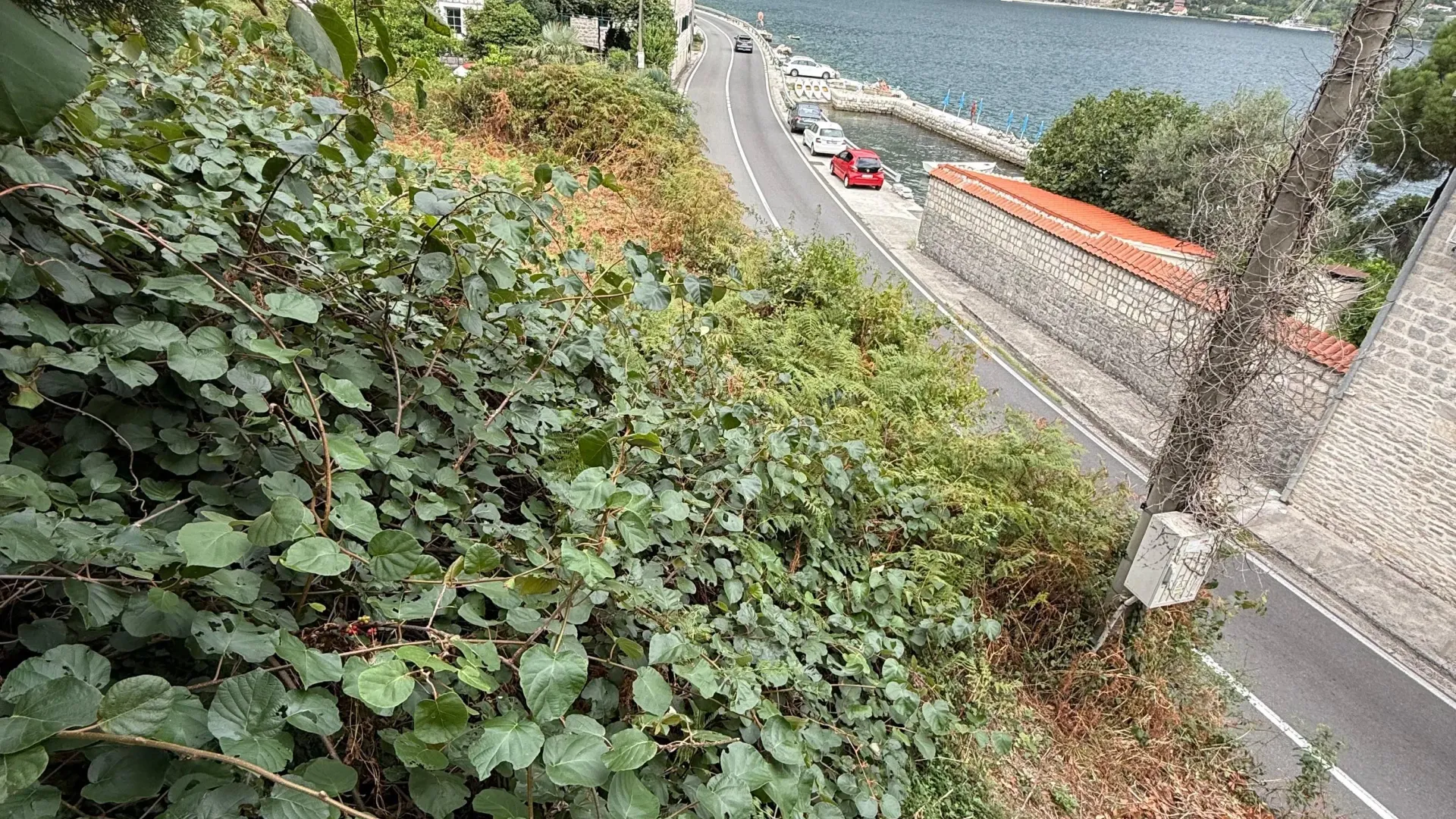 Prodaja, kuća, 200m², Kostanjica, Kotor