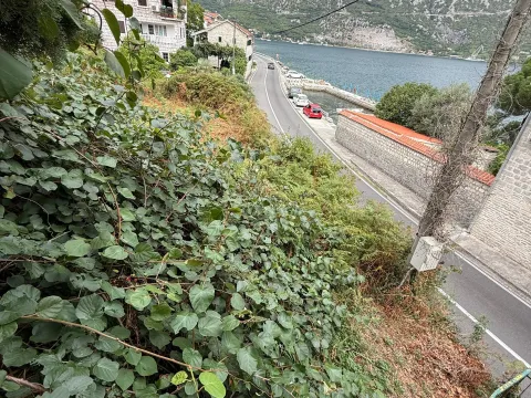 Prodaja, kuća, 200m², Kostanjica, Kotor - image 8