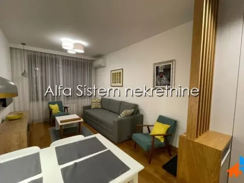 Izdavanje, dvosoban stan, 39m², Vračar Sve Podlokacije, Beograd - image 2
