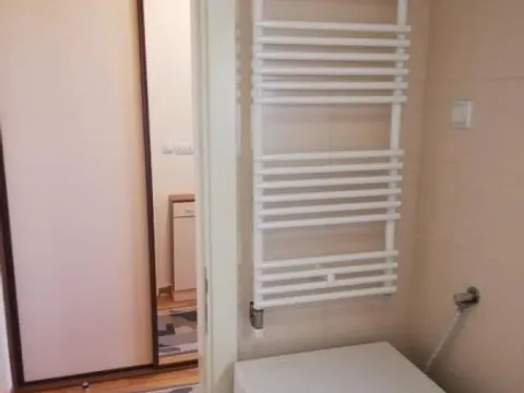 Izdavanje, jednosoban stan, 47m², Novi Beograd Blok 63, Novi Beograd Sve Podlokacije - image 6