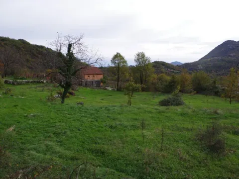 Prodaja, plac, 7000m², Dobrsko Selo, Cetinje - image 6