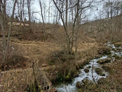 Prodaja, plac, 6000m², Centar, Plav - image 4