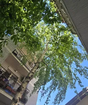 Rent, two bedroom apartment, 59m², Žarkovo, Beograd - image 10