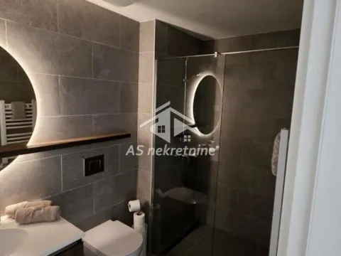 Izdavanje, dvosoban stan, 58m², Savski Venac, Beograd - image 18