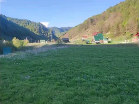 Prodaja,  zemljište, 10000m2, Veruša, Podgorica