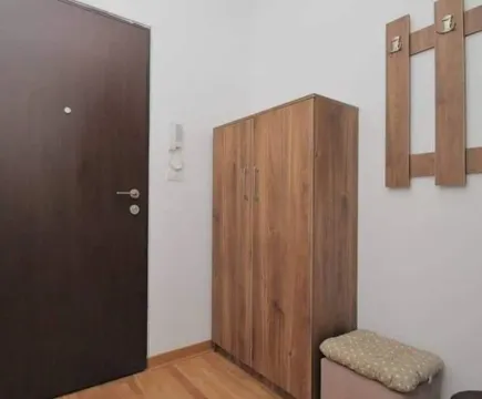 Izdavanje, jednosoban stan, 47m², City Kej, Podgorica - image 9