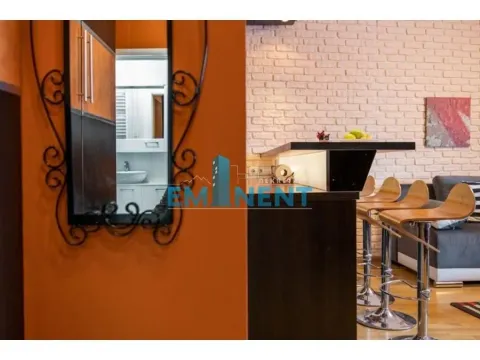 Izdavanje, dvosoban stan, 51m², Južni Bulevar, Vračar Sve Podlokacije - image 7