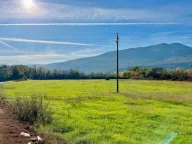 Prodaja, plac, 22000m², Danilovgrad, Crna Gora - image 5