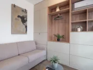 Rent, studio apartment, 25m², Bečići, Budva - image 6