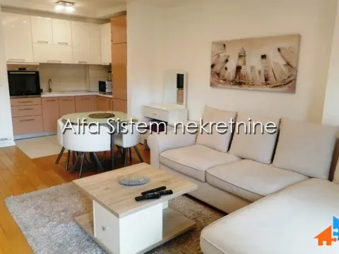 Rent, two bedroom apartment, 55m², Novi Beograd Blok 67, Novi Beograd Sve Podlokacije - image 5