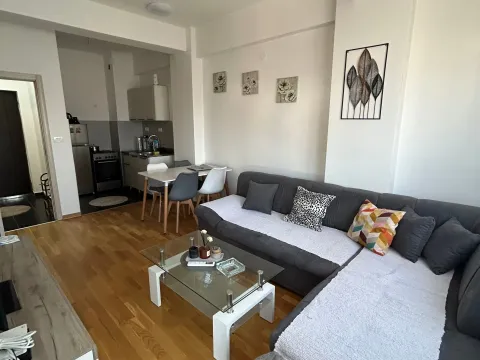 Rent, one bedroom apartment, 40m², Ljubović, Podgorica - image 5