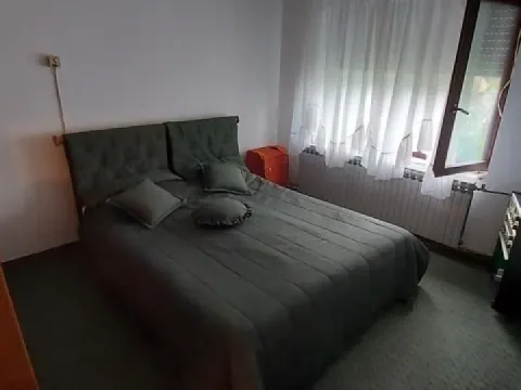 Prodaja, kuća, 240m², Rabrovac, Mladenovac - image 14