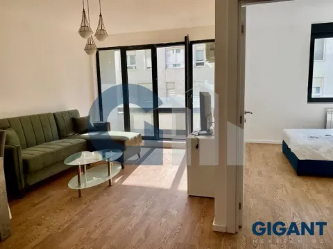 Prodaja, dvosoban stan, 46m², Višnjička Banja, Palilula Sve Podlokacije - image 4