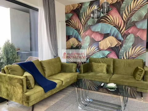 Izdavanje, dvosoban stan, 50m², Savski Venac, Beograd - image 2