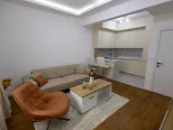 Izdavanje, jednosoban stan, 45m², Zabjelo, Podgorica - image 4