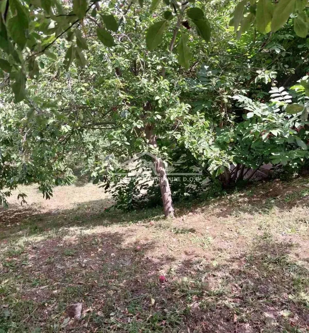 Sale, house, 332m², Čukarica, Beograd