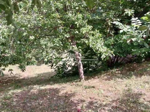 Sale, house, 332m², Čukarica, Beograd - image 18