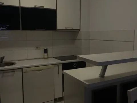 Izdavanje, jednosoban stan, 45m², Stari Aerodrom, Podgorica - image 7