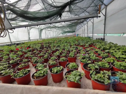 Prodaja, kuća, 203m², Jagodina, Srbija - image 23