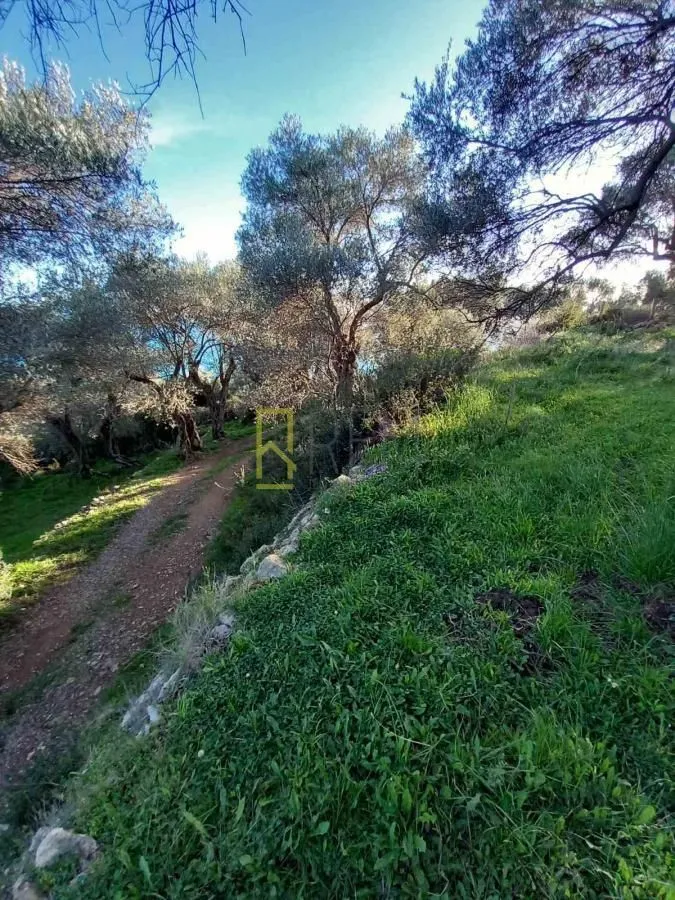 Prodaja, plac, 5000m², Ulcinj, Crna Gora