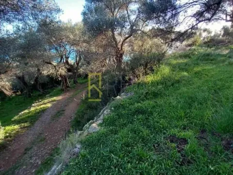 Sale, land lot, 5000m², Ulcinj, Crna Gora - image 13