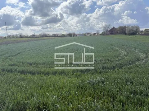 Sale, land lot, Dobanovci, Surčin