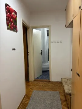 Rent, one bedroom apartment, 30m², Zemun Nova Galenika, Zemun Sve Podlokacije - image 10
