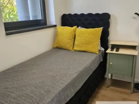 Izdavanje, jednosoban stan, 32m², Stari Grad, Beograd - image 10