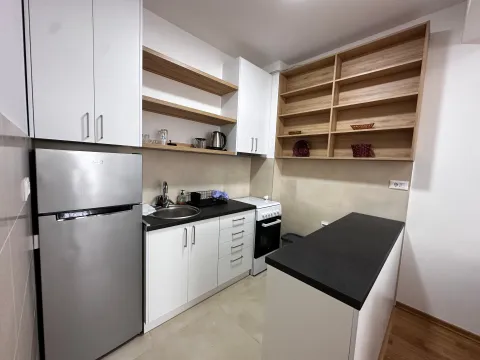 Rent, one bedroom apartment, 45m², Zabjelo, Podgorica - image 4