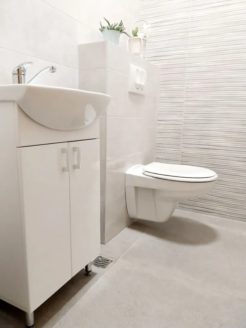Modernly equipped bathroom with a washbasin and toilet bowl.