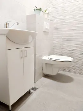 Modernly equipped bathroom with a washbasin and toilet bowl. - image 4