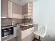 Izdavanje, stan, 25m², Ljubović, Podgorica - image 3
