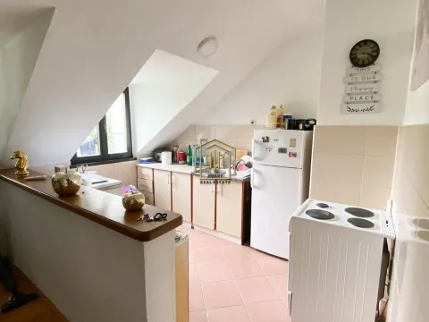 Izdavanje, jednosoban stan, 54m², Centar, Cetinje - image 2