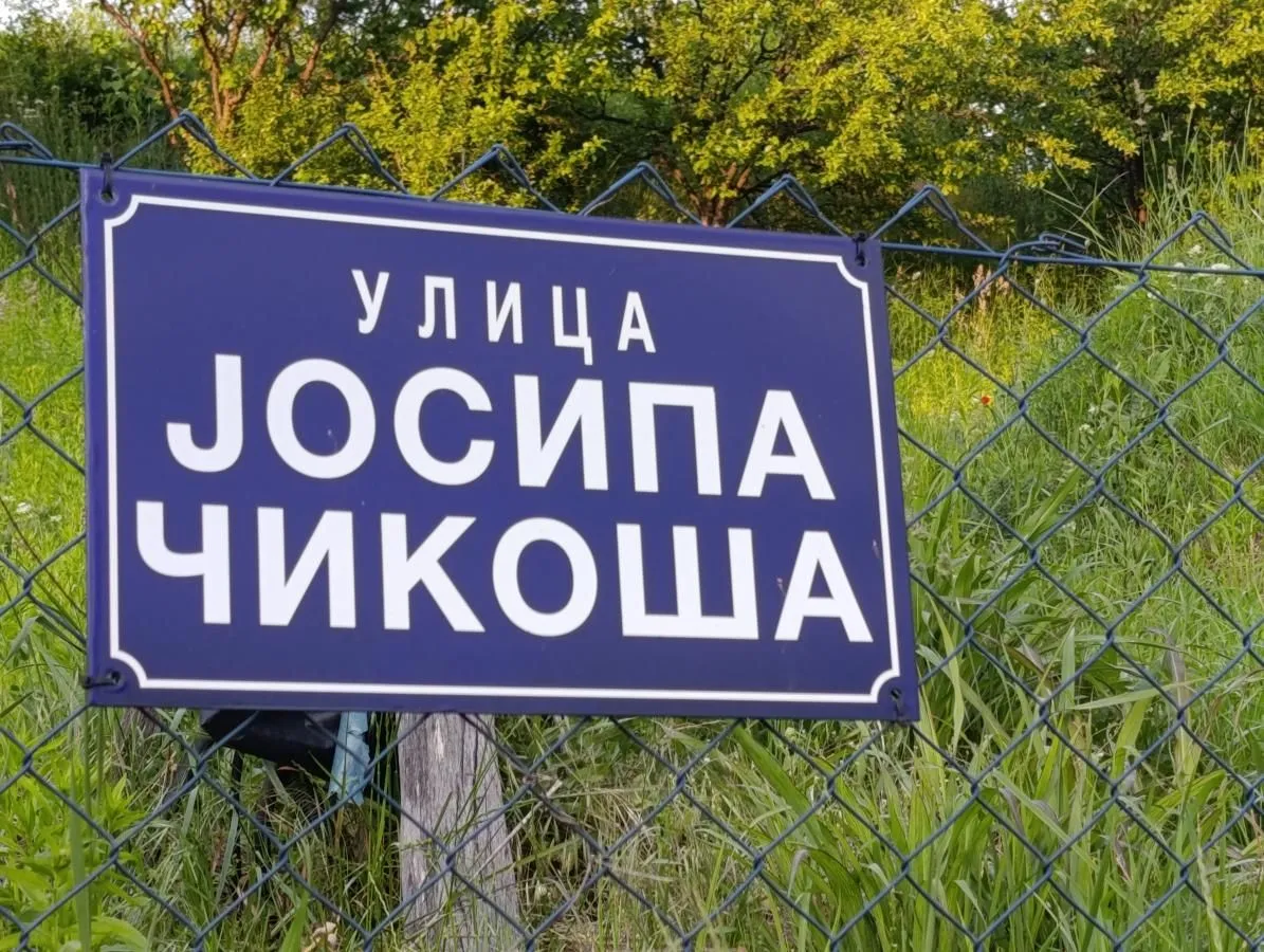 Prodaja, plac, 1000m², Alibegovac, Petrovaradin