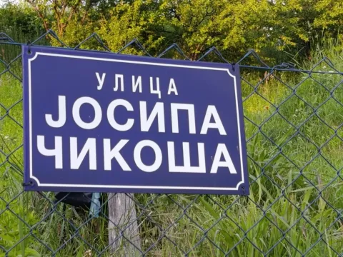 Prodaja, plac, 1000m², Alibegovac, Petrovaradin - image 2