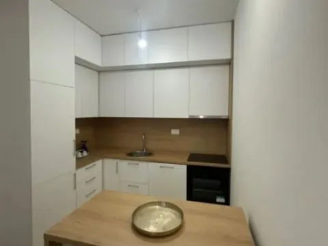 Izdavanje, jednosoban stan, 48m², Zabjelo, Podgorica - image 8