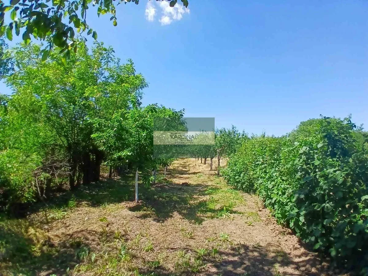 Prodaja, kuća, 65m², Kovačevac, Jagodina