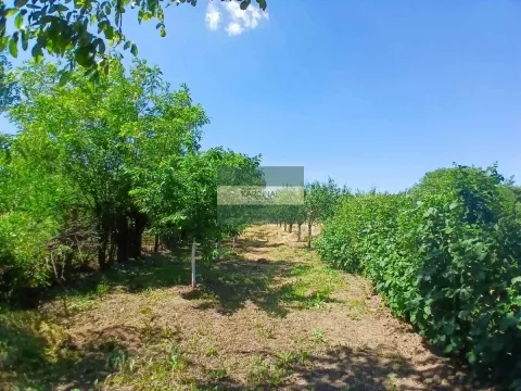 Prodaja, kuća, 65m², Kovačevac, Jagodina - image 27