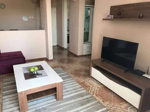 Dnevna soba sa televizorom, stočićem i tepihom. - image 6