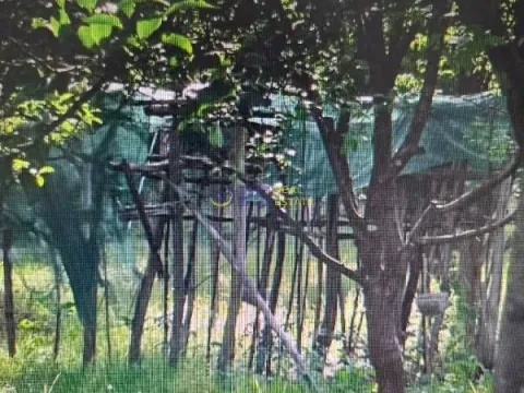 Prodaja, kuća, 150m², Danilovgrad, Crna Gora - image 16